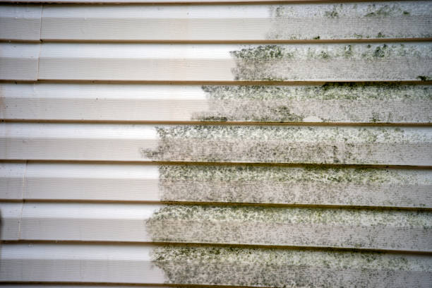 Best Carpet Removal and Disposal  in Hidden Valley Lake, CA